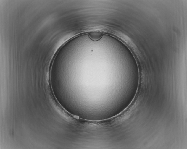 X0000110951234200906261314