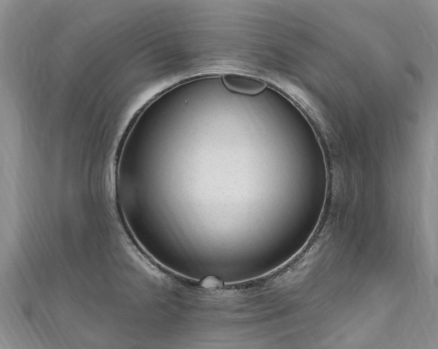 X0000110951238200906261314