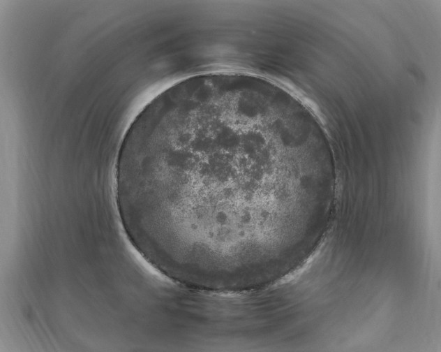 X0000110951239200906261314
