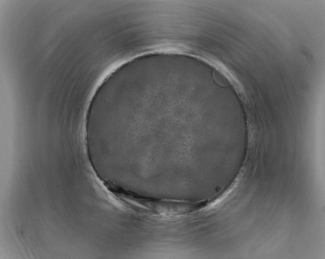 X0000110951240200906261314