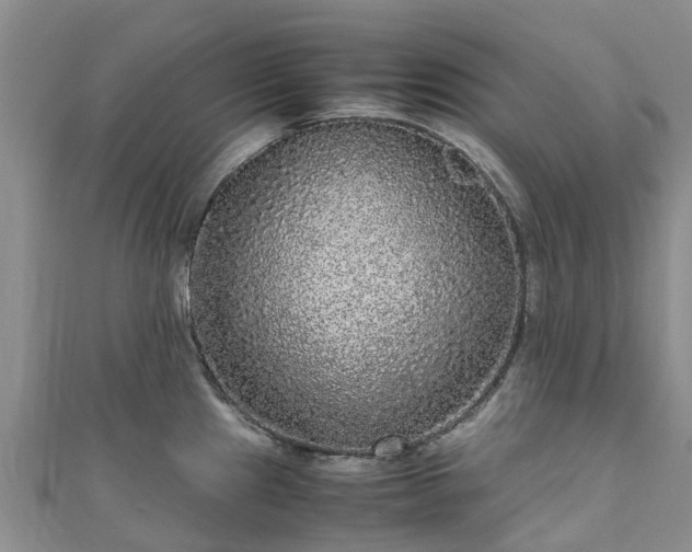 X0000110951241200906261314