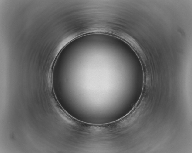 X0000110951242200906261314