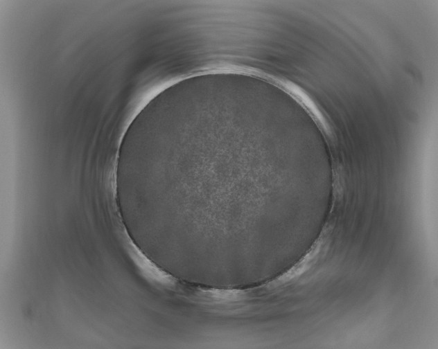 X0000110951244200906261314