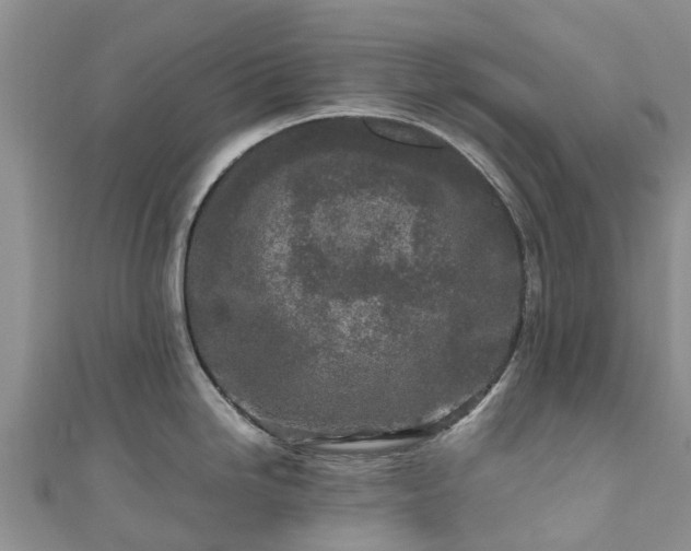 X0000110951246200906261314