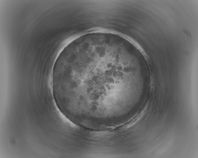 X0000110951247200906261314