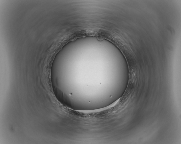 X0000110951249200906261314