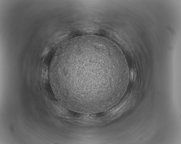 X0000110951251200906261314