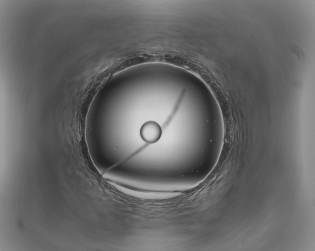 X0000110951253200906261314