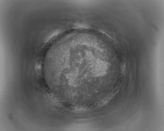 X0000110951254200906261314