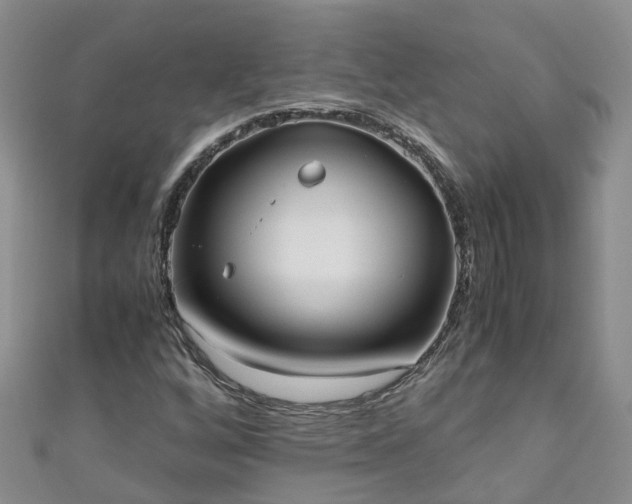 X0000110951256200906261314