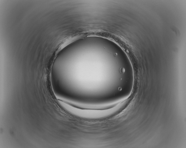X0000110951257200906261314