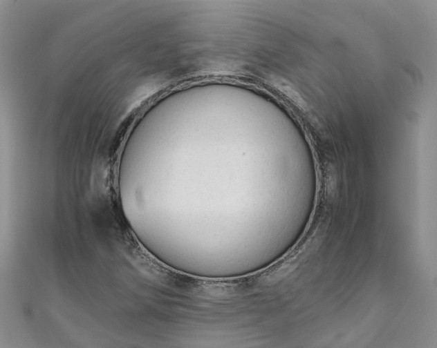 X0000110951258200906261314