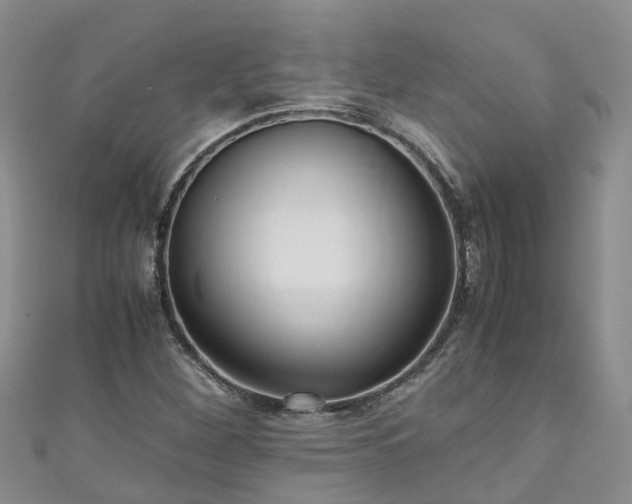 X0000110951260200906261314
