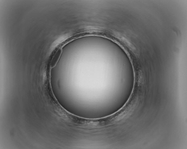 X0000110951261200906261314