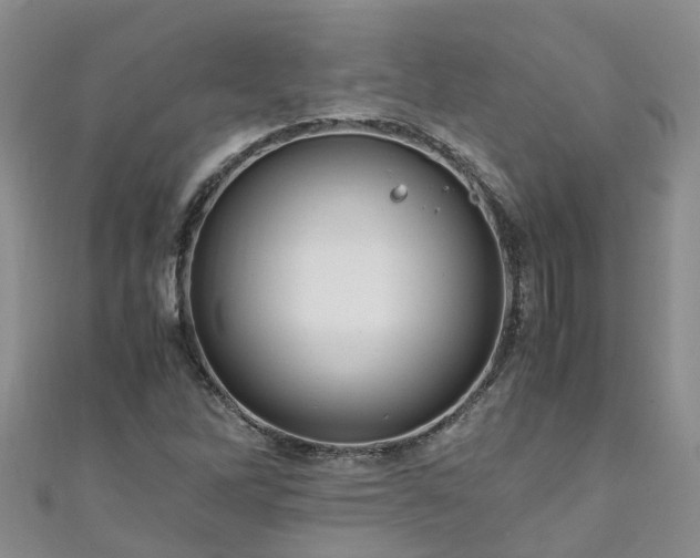X0000110951262200906261314