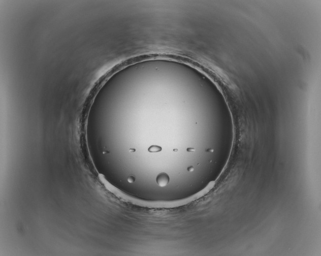 X0000110951264200906261314