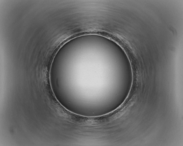 X0000110951265200906261314