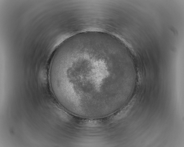 X0000110951266200906261314