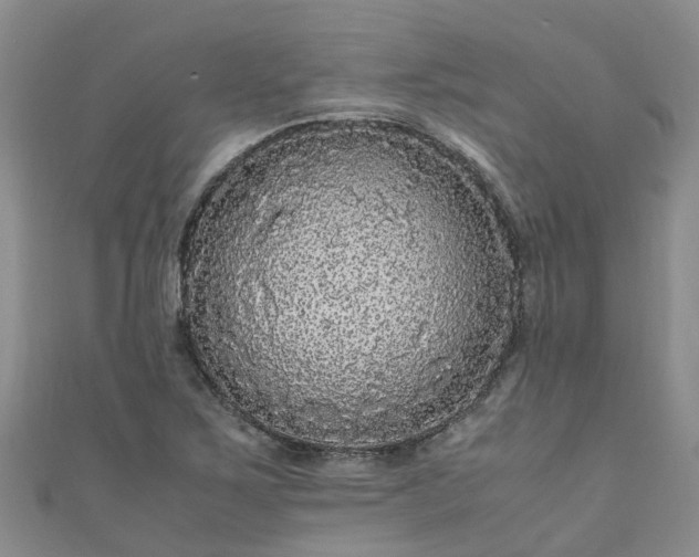 X0000110951267200906261313