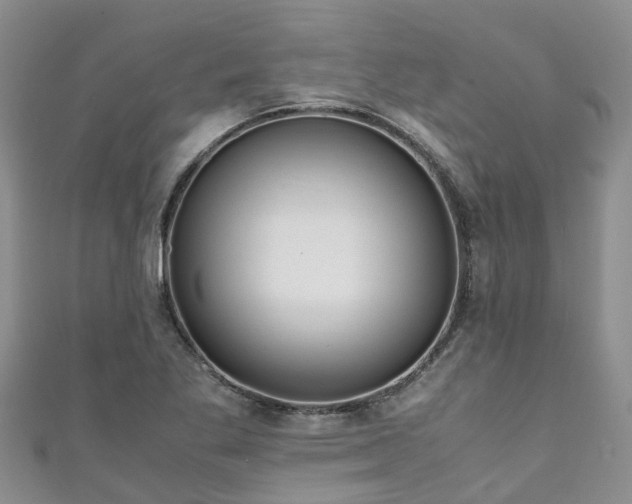 X0000110951269200906261313