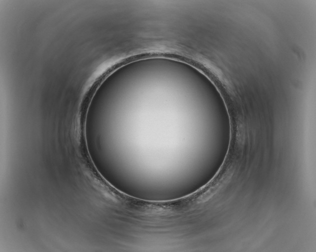X0000110951270200906261313