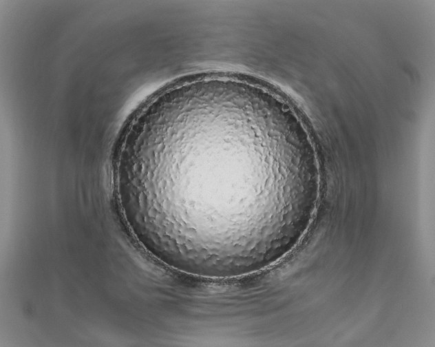 X0000110951271200906261313