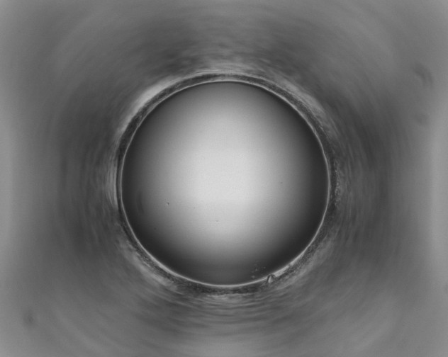 X0000110951272200906261313
