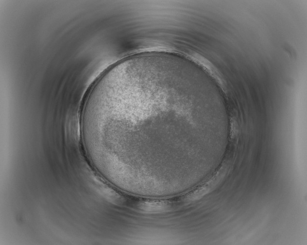 X0000110951274200906261313