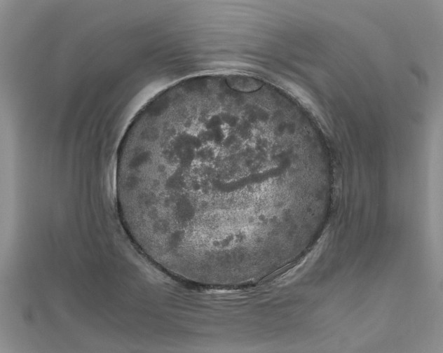 X0000110951275200906261313