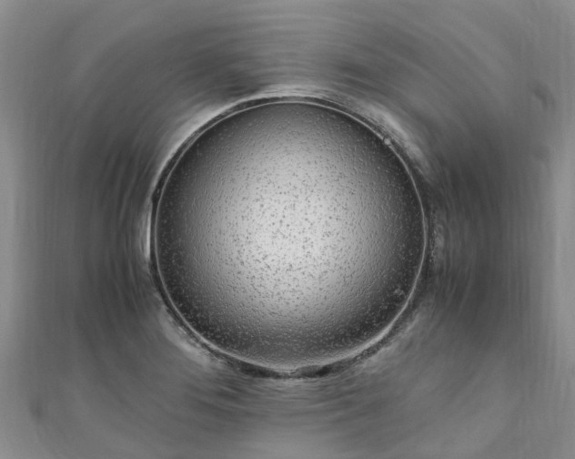 X0000110951276200906261313