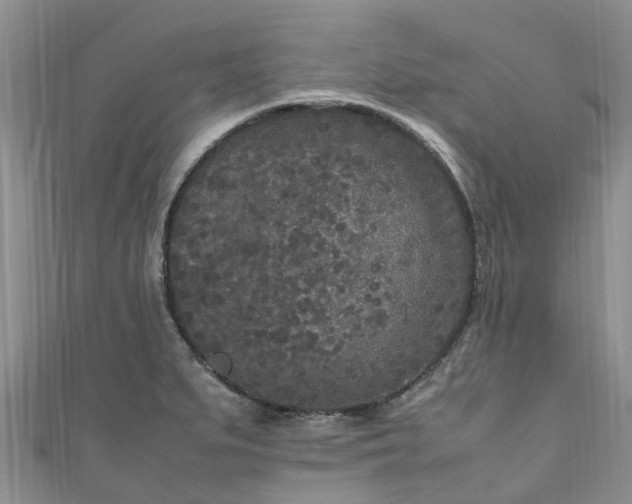 X0000110951279200906261313