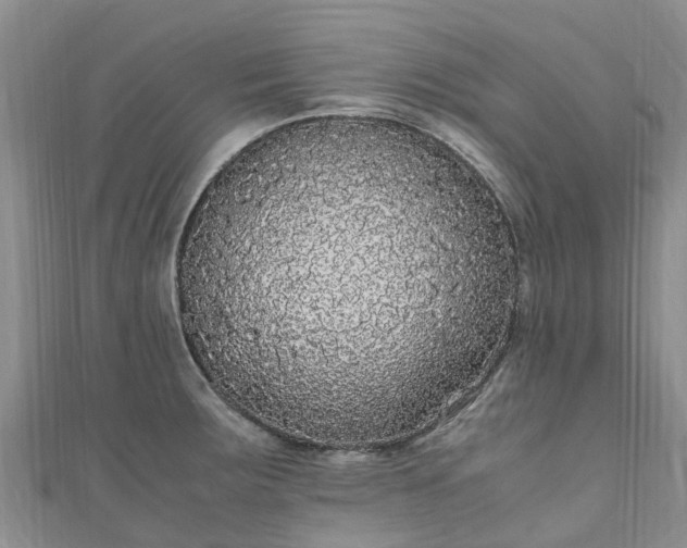 X0000110951283200906261313
