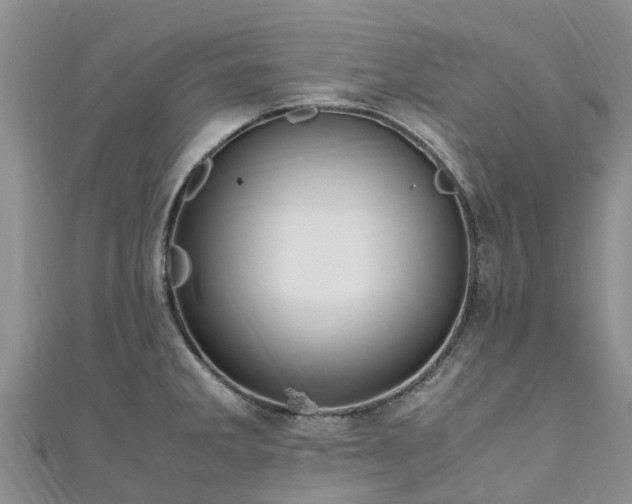X0000110951285200906261313