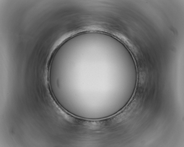 X0000110951286200906261313