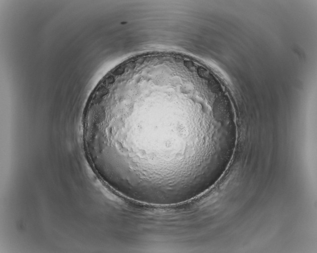 X0000110951287200906261313