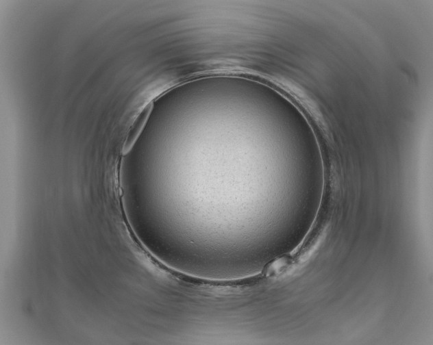 X0000110951289200906261313