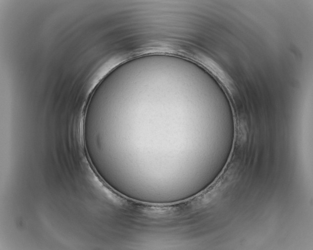 X0000110951290200906261313