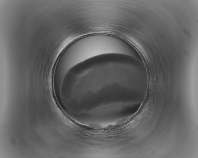 X0000110951291200906261313