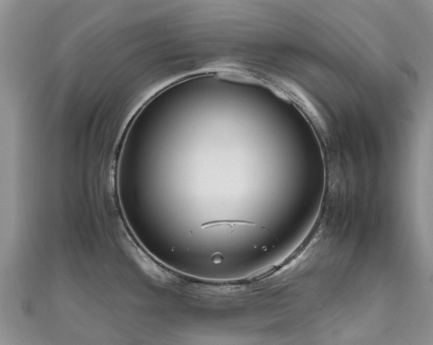X0000110951292200906261313