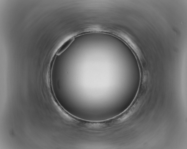 X0000110951293200906261313