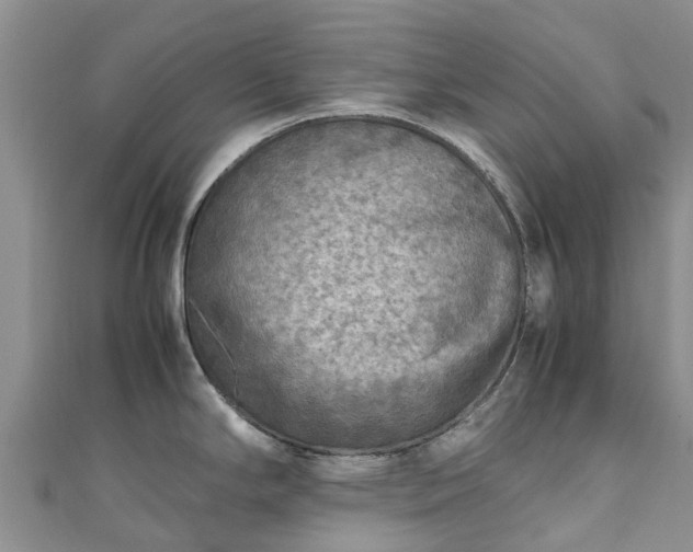 X0000110951294200906261313