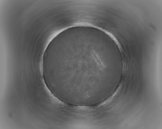 X0000110951295200906261313