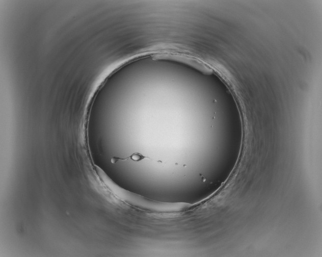 X0000110951296200906261313