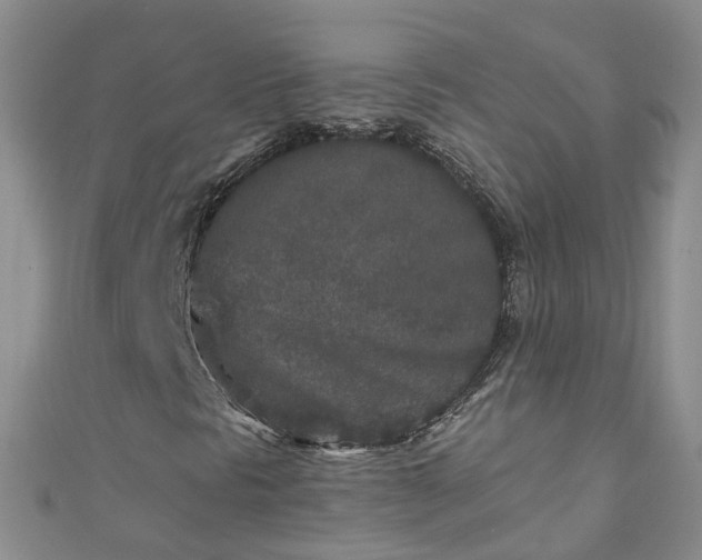 X0000110951297200906261313