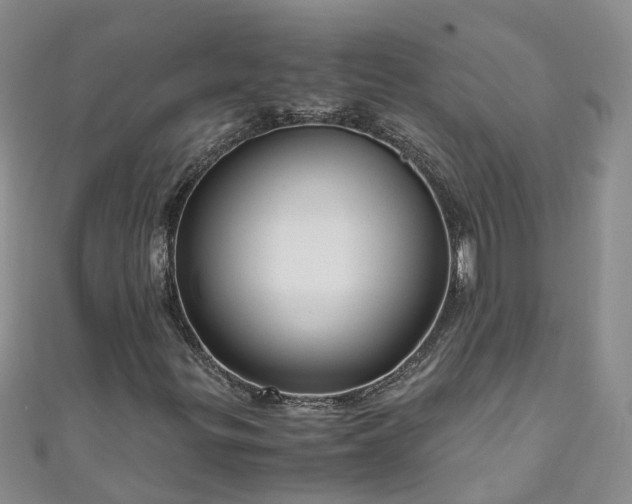 X0000110951299200906261313