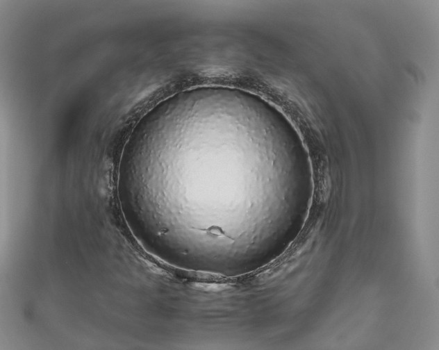 X0000110951301200906261313