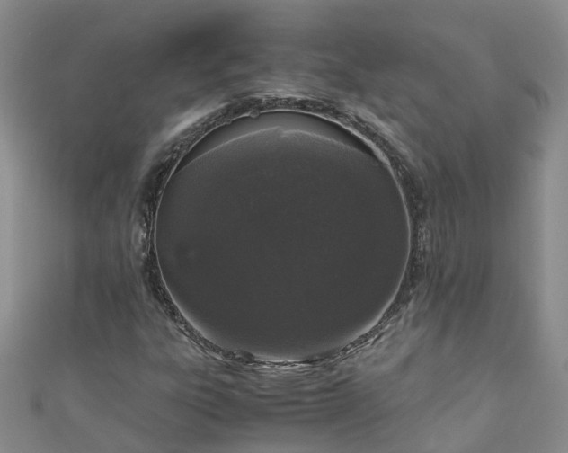 X0000110951303200906261313