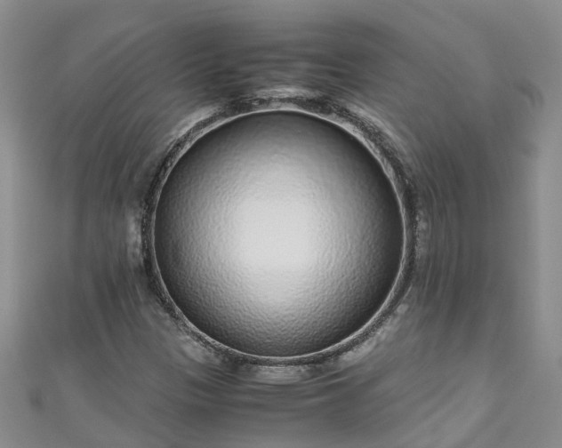 X0000110951305200906261313