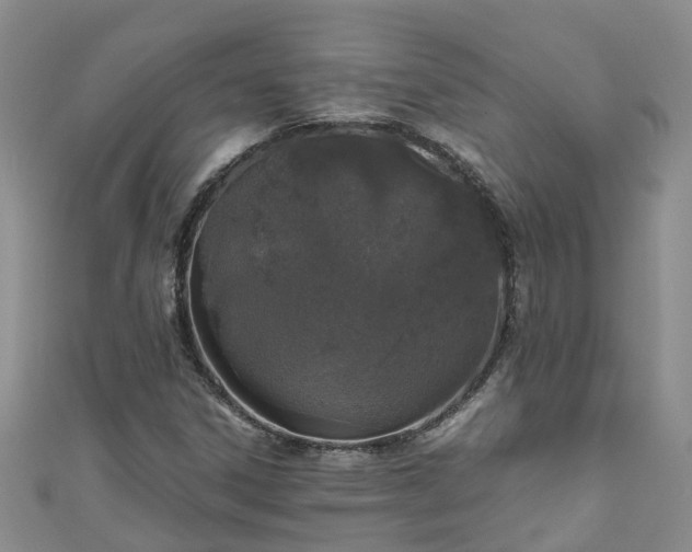 X0000110951306200906261313