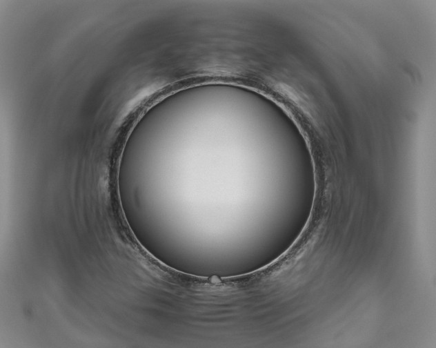 X0000110951307200906261313